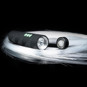 BitWhip + RGB Critter