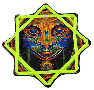 Midway Split Soul art with vibrant face & neon border