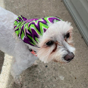 Mougee Pet Bandana - Match Your Favorite Flow Star Designs with Your Pet!