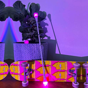 Ultra Wand Sydney 2023 with skateboard and plant.