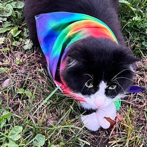 Mougee Pet Bandana - Match Your Favorite Flow Star Designs with Your Pet!