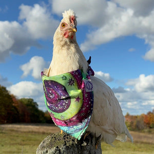 Mougee Pet Bandana - Match Your Favorite Flow Star Designs with Your Pet!