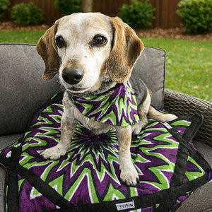 Mougee Pet Bandana - Match Your Favorite Flow Star Designs with Your Pet!