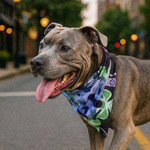 Mougee Pet Bandana - Match Your Favorite Flow Star Designs with Your Pet!