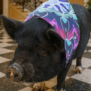 Mougee Pet Bandana - Match Your Favorite Flow Star Designs with Your Pet!