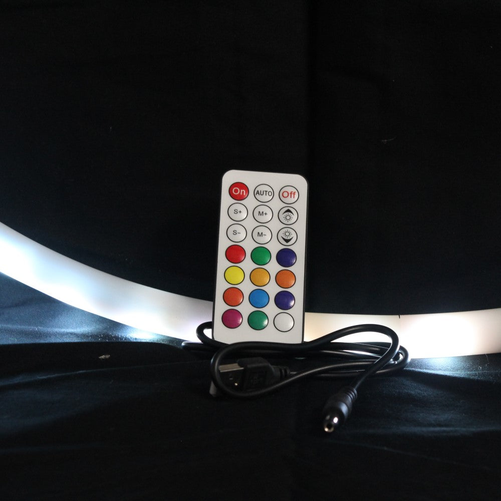 Eco Remote LED Hoop 24"