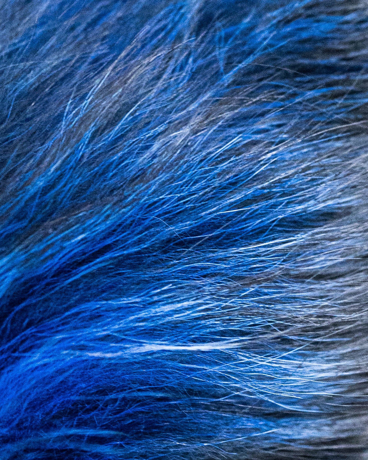  Fur Tails - 3 colors available! 