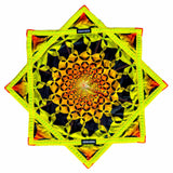 Solar Pulse