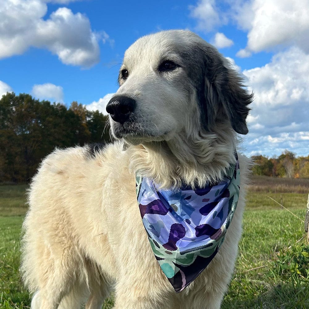  Mini Bandana - Match Your Star 